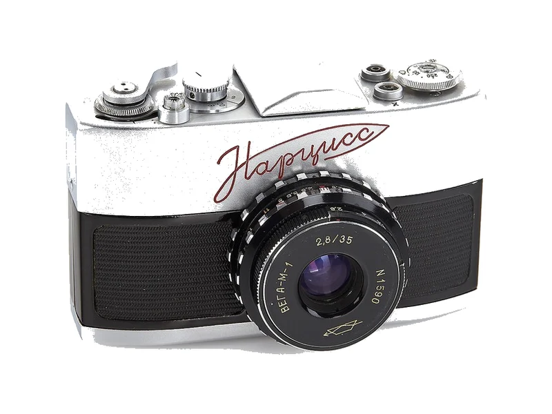 Zenit Narciss