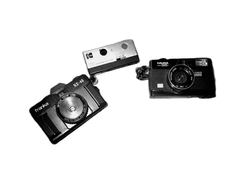 Halina Flash 300