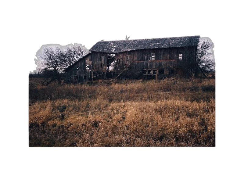 Vivitar PS:10