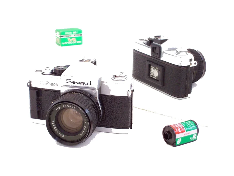 Seagull DF-102b