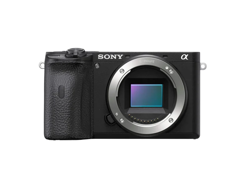 Sony α6600